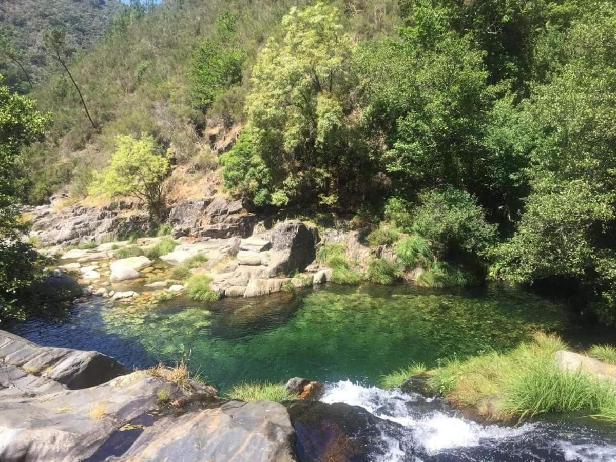 Lago Da Garca Guesthouse São Pedro do Sul Esterno foto